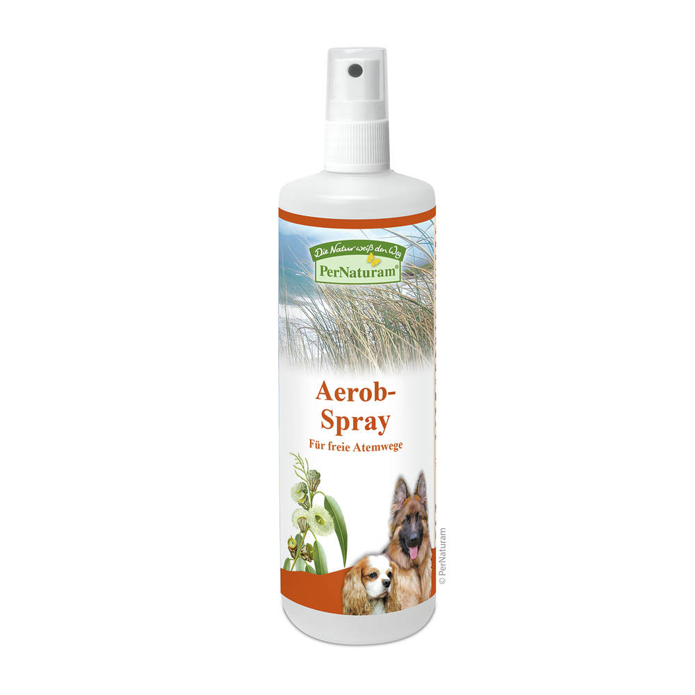Aerob-Spray ( 250 ml )