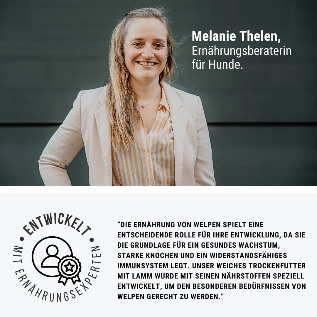 Kopf, Gesicht, Werbung, Plakat, Blazer