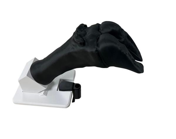 Erler-Zimmer Verbandssimulator Rinderklaue Erler-Zimmer Verbandssimulator Rinderklaue