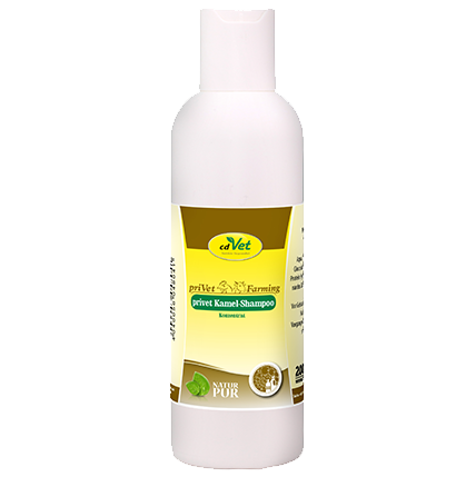 priVet Kamel Shampoo Konzentrat ist ein Pflegeshampoo für empfindliche Haut. Es pflegt die Haut auf natürliche Weise mit nachfettender Wirkung und verleiht dem Fell wieder Glanz. Das Fell wird tiefgründig gereinigt und Schuppenbildung vorgebeugt. pri