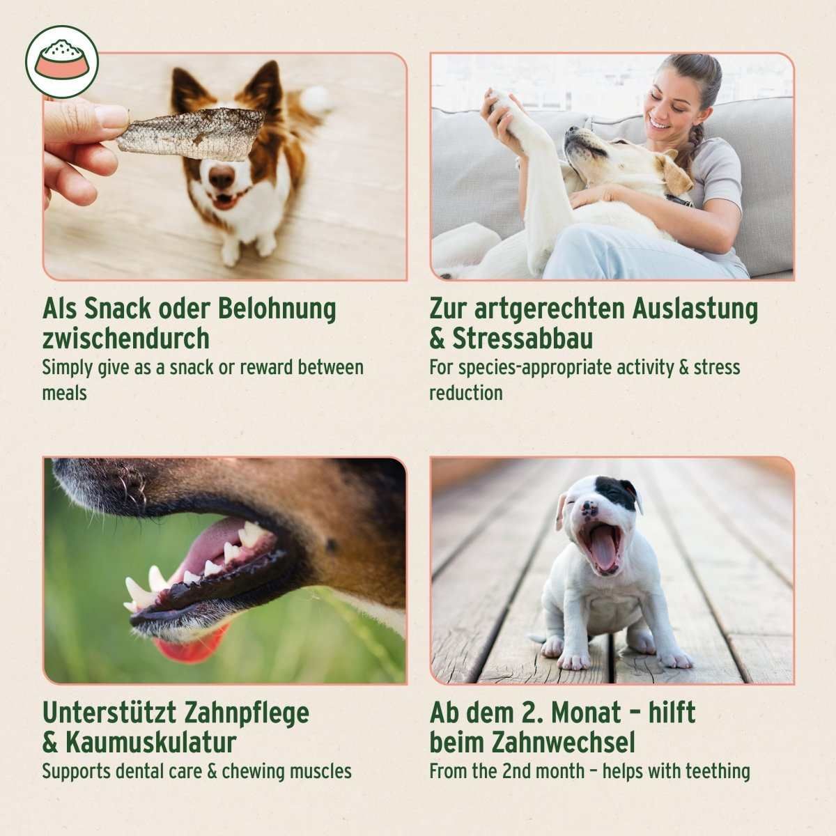 Person, Zähne, Hund, Werbung, Plakat