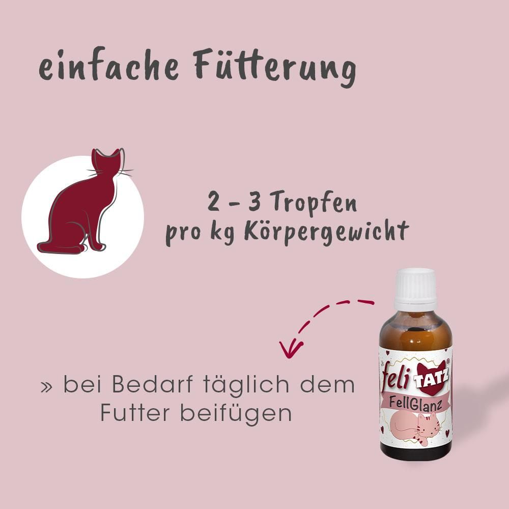 Würzen, Sirup, Werbung, Bär, Tierwelt
