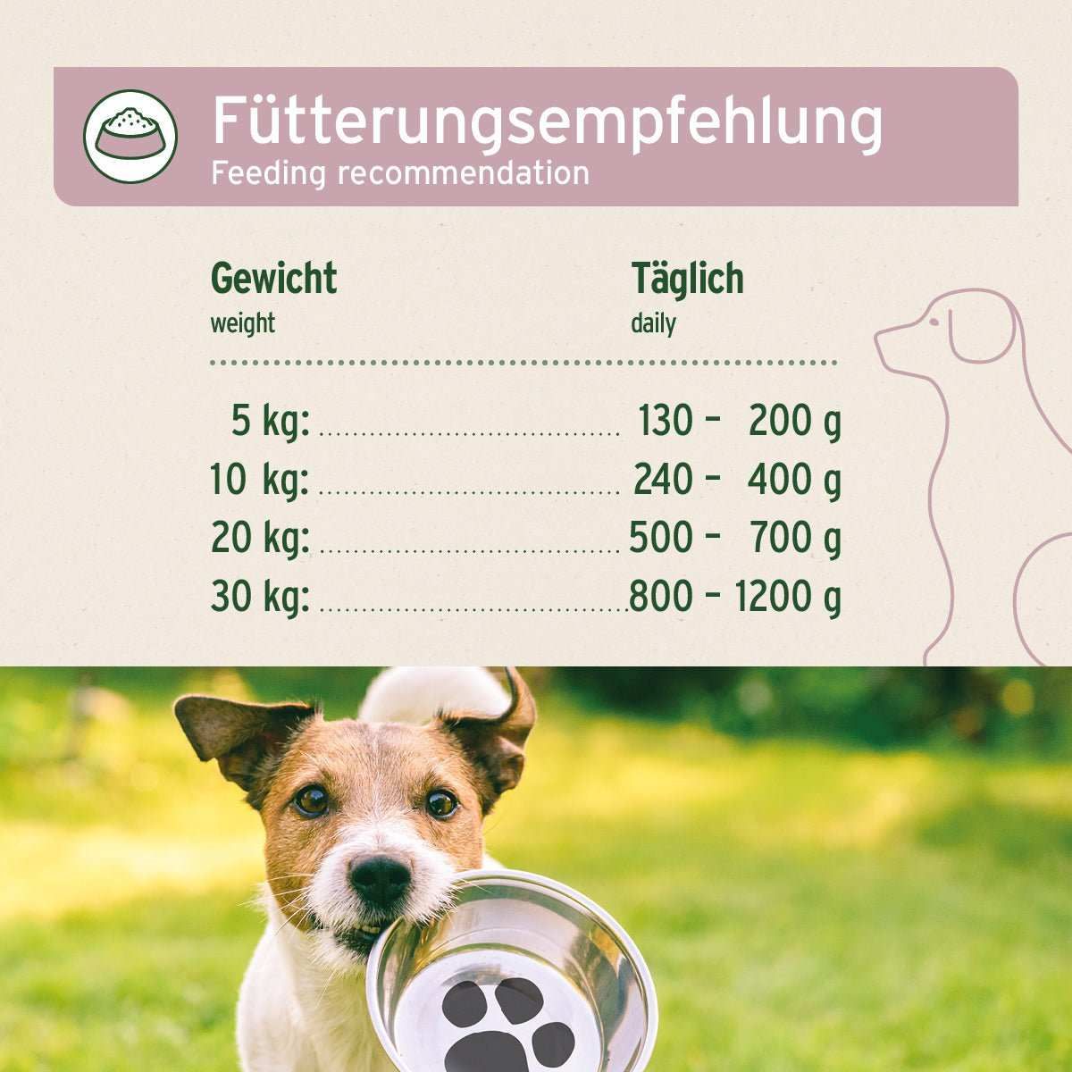 Text, Hund, Säugetier, Haustier