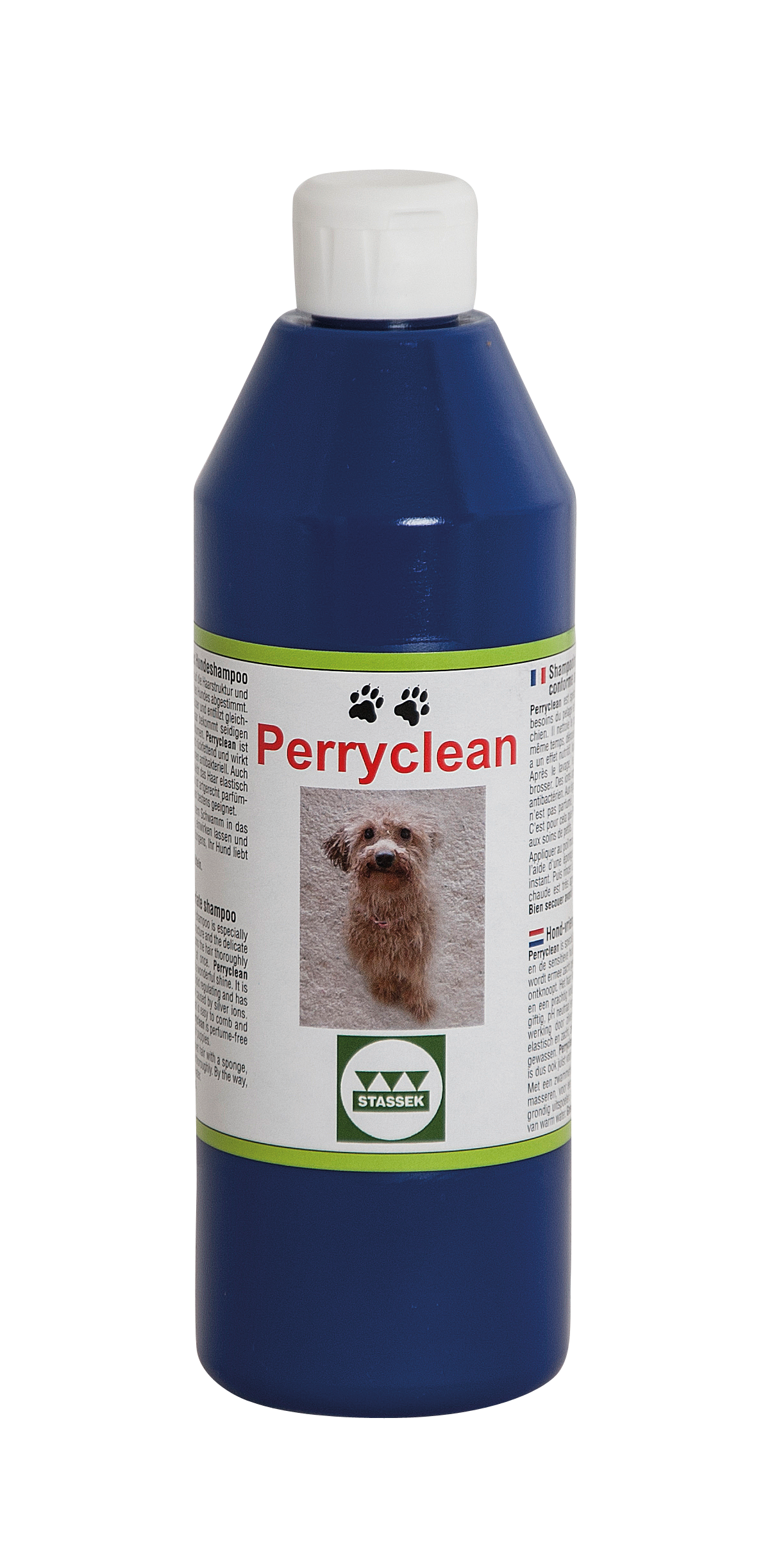 Hund, Säugetier, Haustier, Flasche