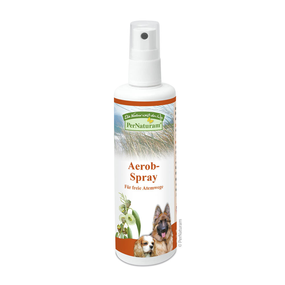 Aerob-Spray ( 100 ml )