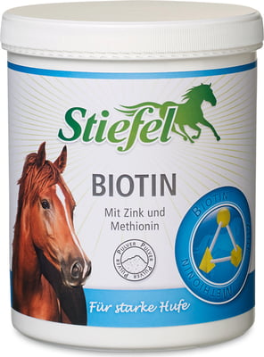 Biotin Pulver 1 kg