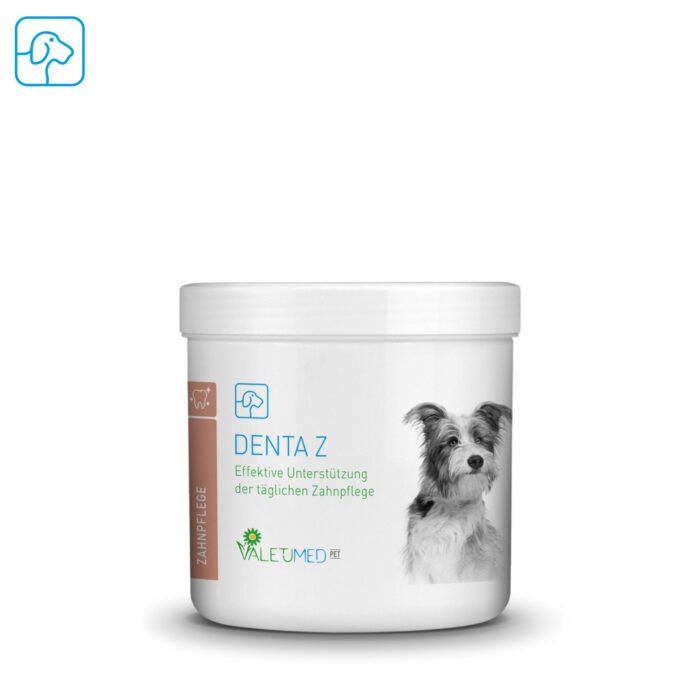 Tier, Hund, Säugetier, Haustier