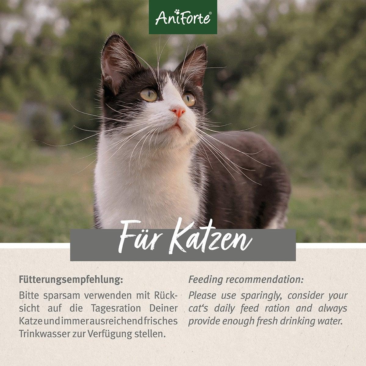 Aniforte Katzen Snacks Huhn - Too good to go 100 g
