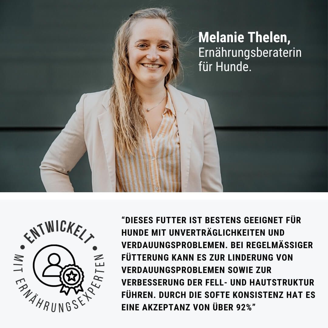 Kopf, Gesicht, Werbung, Blazer, Plakat