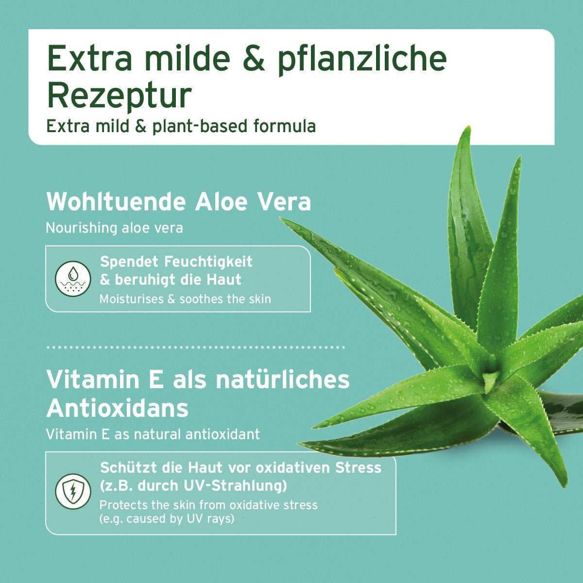 Pflanze, Werbung, Aloe
