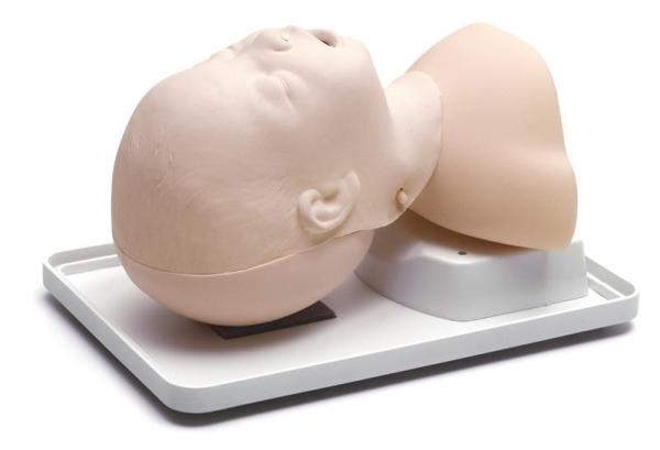 Erler-Zimmer Neugeborenen Intubationstrainer Erler-Zimmer Neugeborenen Intubationstrainer