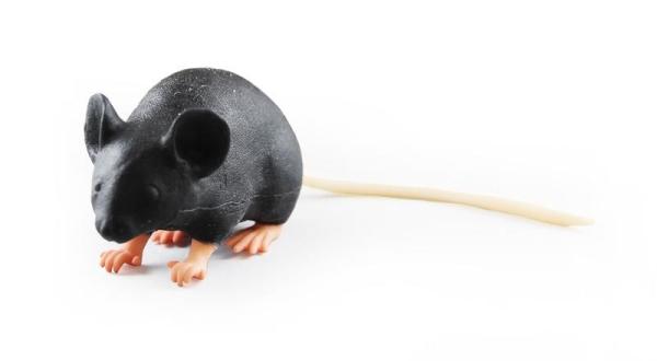 Erler-zimmer Mimicky Mouse