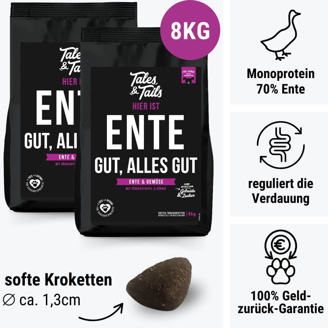 Kieselstein, Tier, Vogel