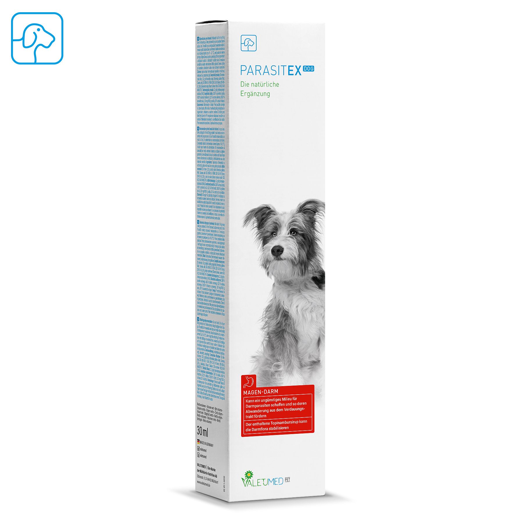 Hund, Säugetier, Haustier, Kräuterig, Pflanze