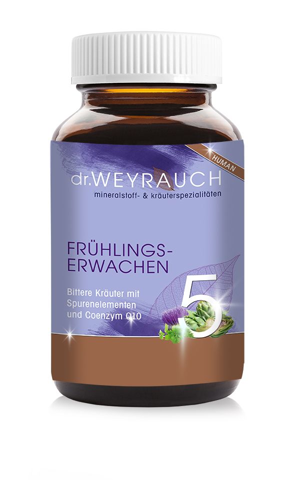 Kräuter, Pflanze, Astragalus, Blume, Kräuter, Pflanze, Astragalus, Blume, Kräuter, Pflanze, Astragalus, Blume