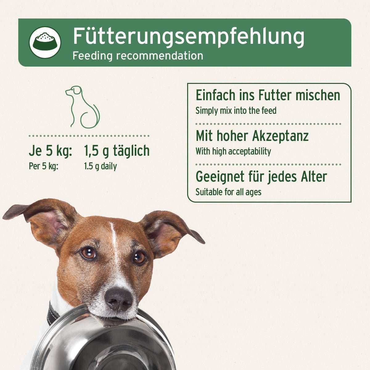 Hund, Säugetier, Haustier, Text
