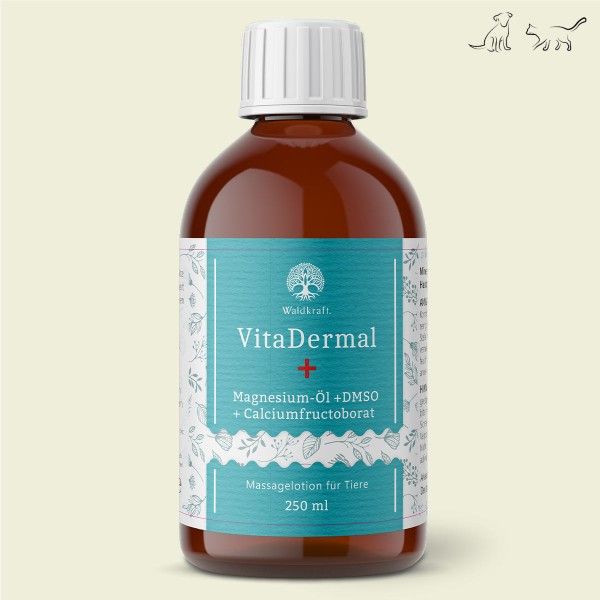Flasche, Würzen, Sirup, Kosmetik, Parfüm