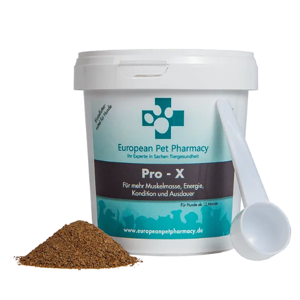 Besteck, Löffel, Puder