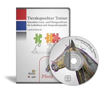 Tierakupunktur Trainer (Pferd)