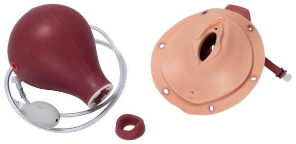 Erler-Zimmer Modul Postpartale Blutung für R17860 Erler-Zimmer Modul Postpartale Blutung für R17860