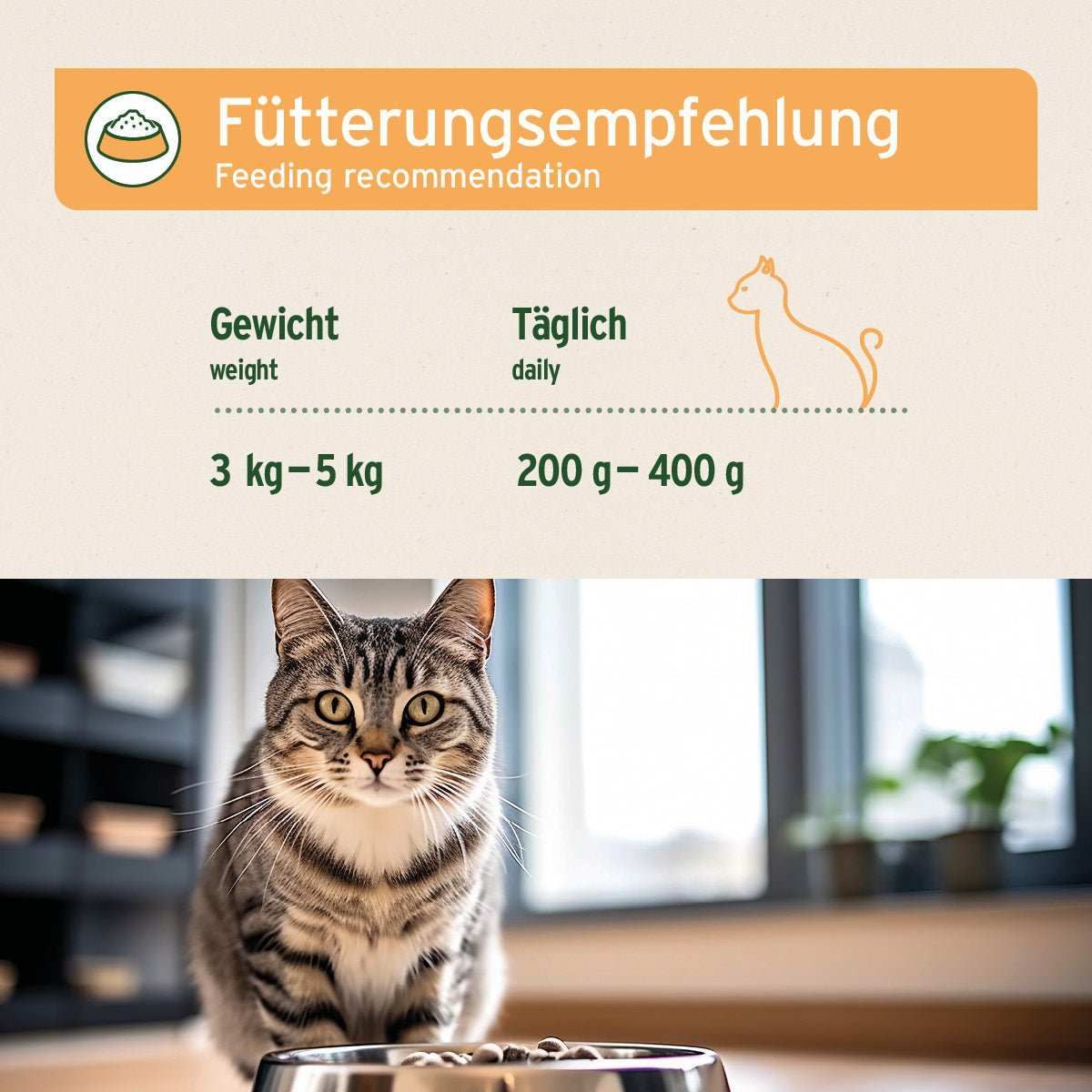 Katze, Kätzchen, Säugetier, Haustier, Werbung