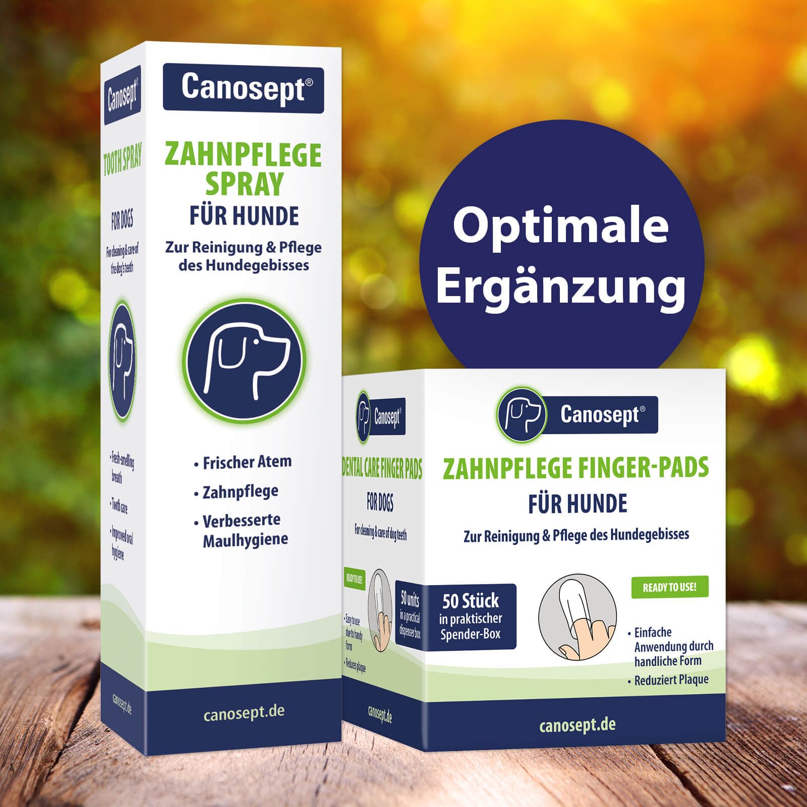 Werbung, Plakat, Visitenkarte, Papier, Text, Werbung, Plakat, Visitenkarte, Papier, Text