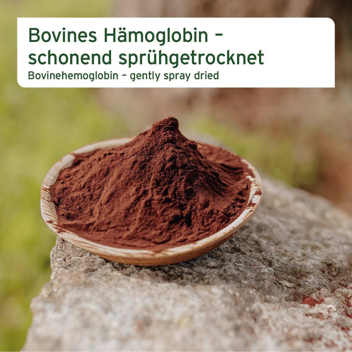 Kakao, Nachtisch, Essen, Puder