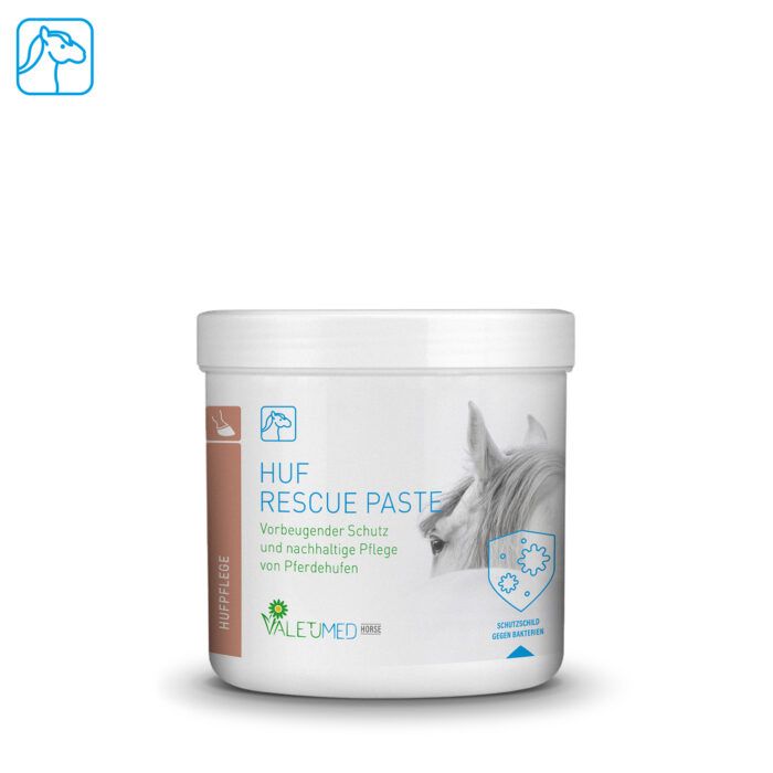 Nachtisch, Essen, Joghurt