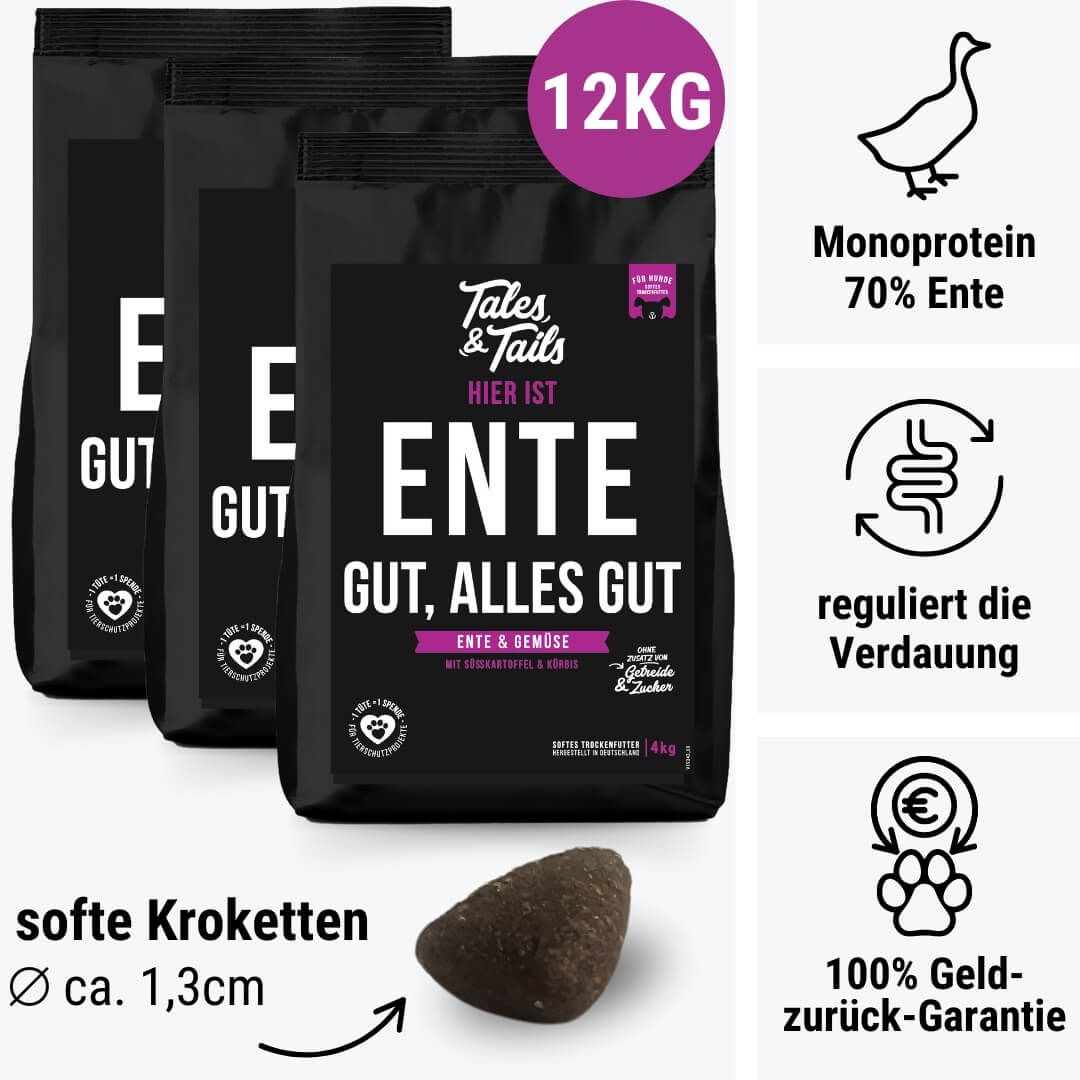 Kieselstein, Tier, Vogel