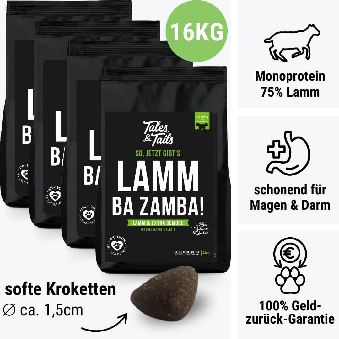 Kieselstein, Anthrazit, Kohle