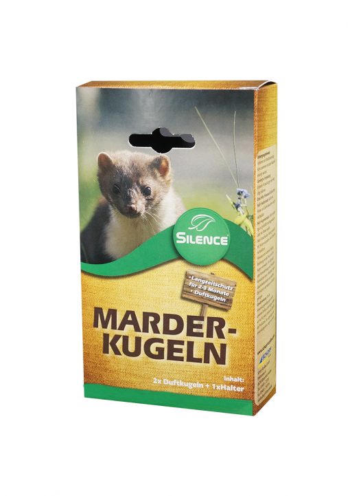 Tier, Säugetier, Ratte, Nagetier