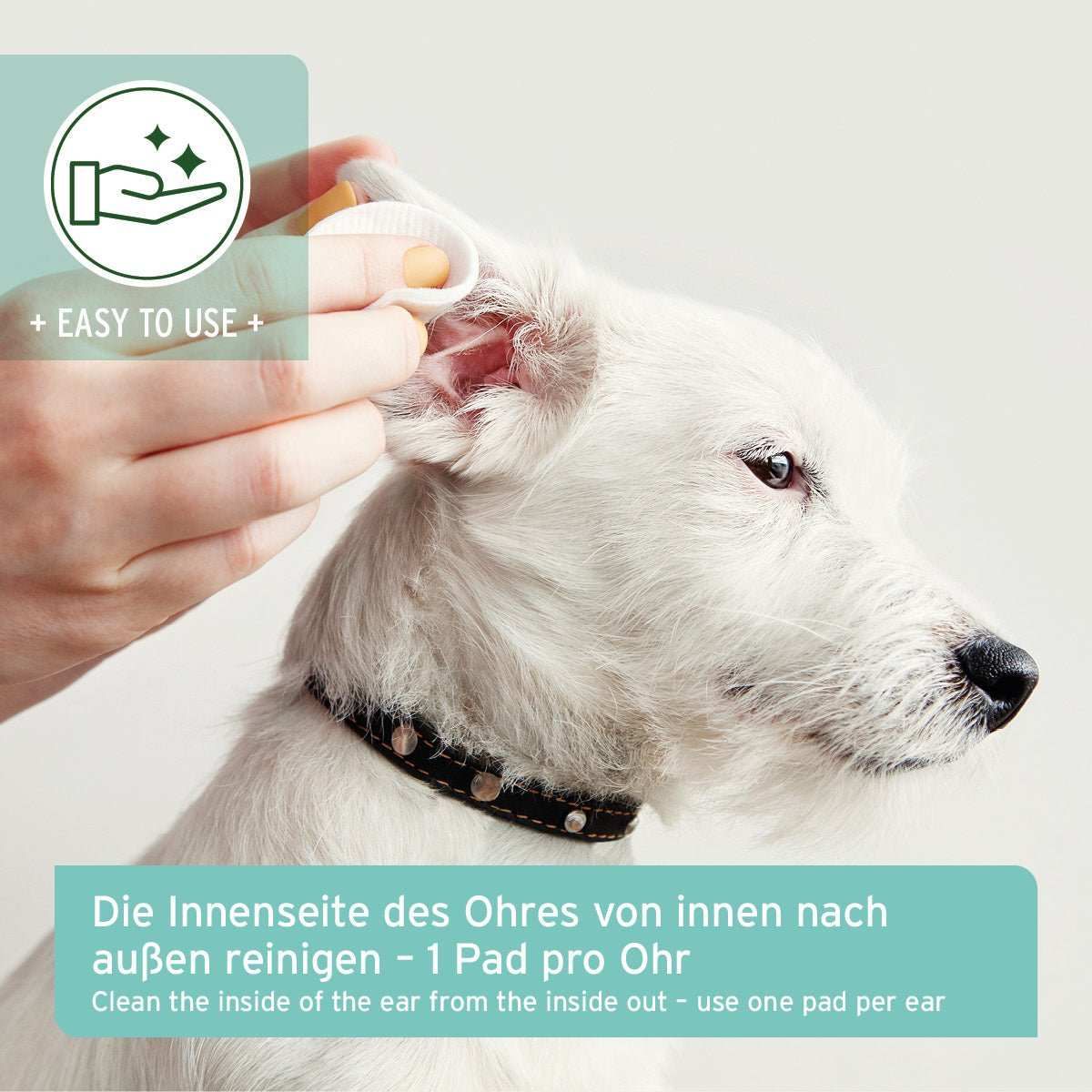 Werbung, Plakat, Hund, Säugetier, Haustier