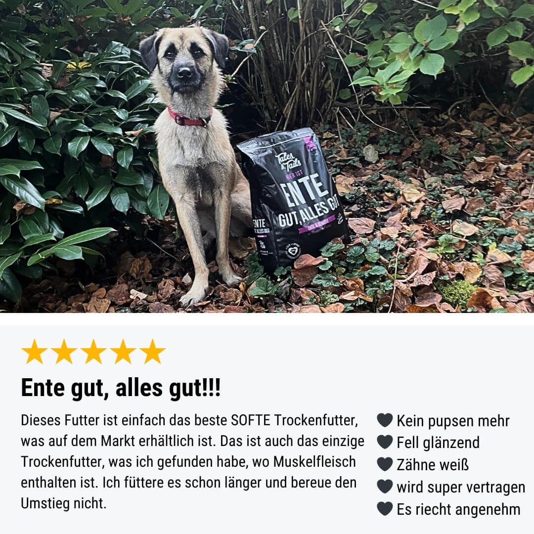 Werbung, Plakat, Vegetation, Kräuterig, Tasche