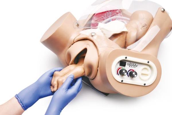 Erler-Zimmer Advanced OB Susie Erler-Zimmer Advanced OB Susie