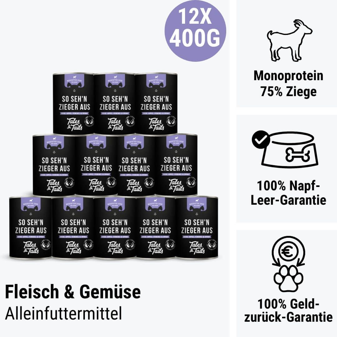 Werbung, Plakat, Papier, Hund, Haustier