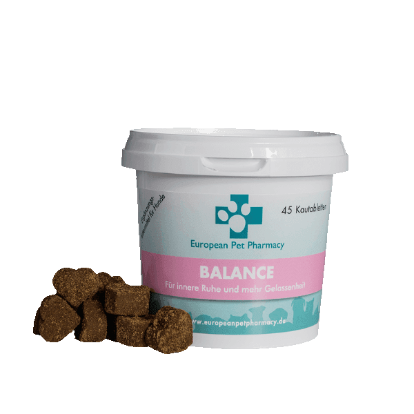 Nachtisch, Essen, Joghurt, Sahne, Gefrorener Joghurt