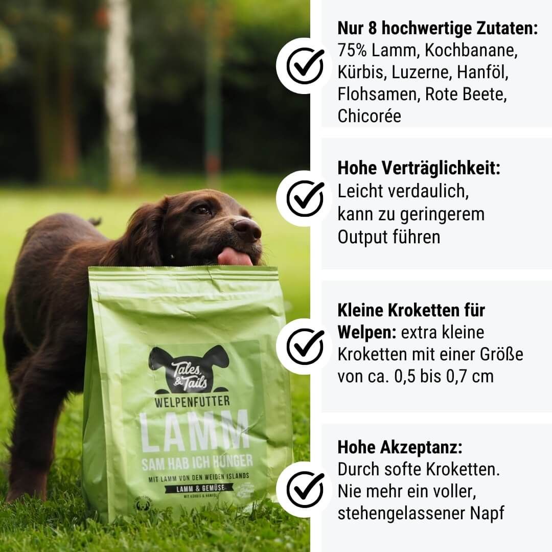 Werbung, Hund, Plakat, Gras, Tasche