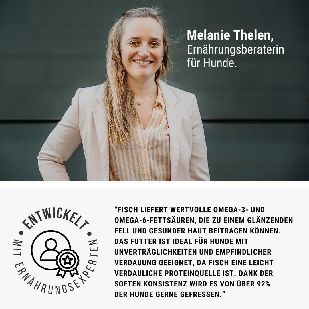 Werbung, Kopf, Gesicht, Plakat, Blazer