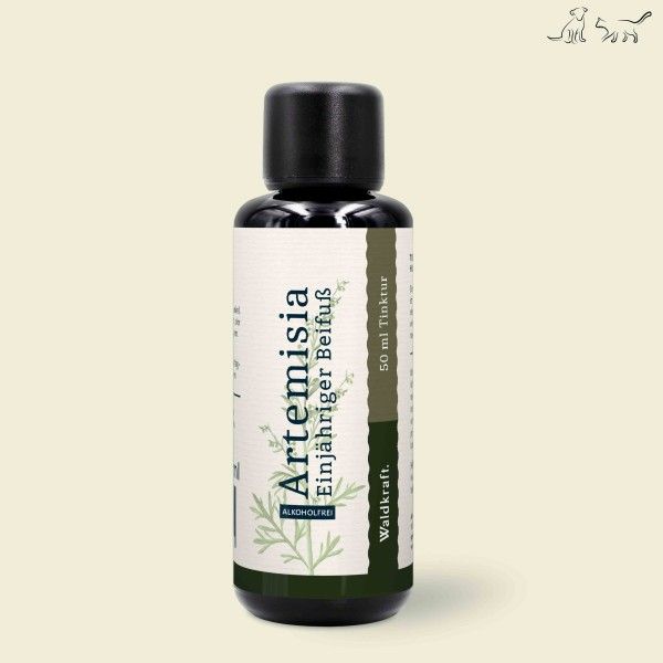 Kräuterig, Pflanze, Flasche, Kosmetik, Parfüm