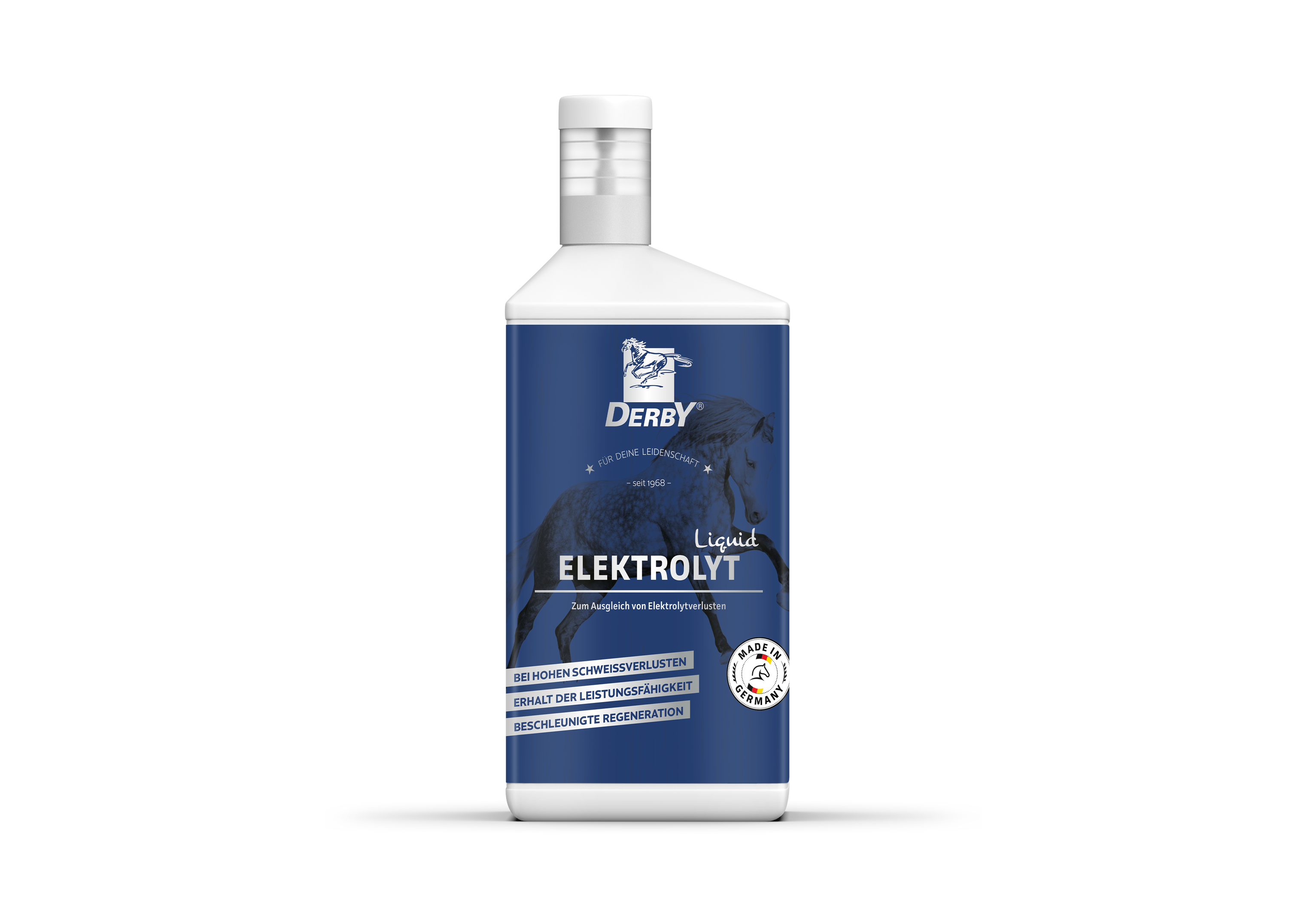 DERBY Elektrolyt liquid 5L-Kanister