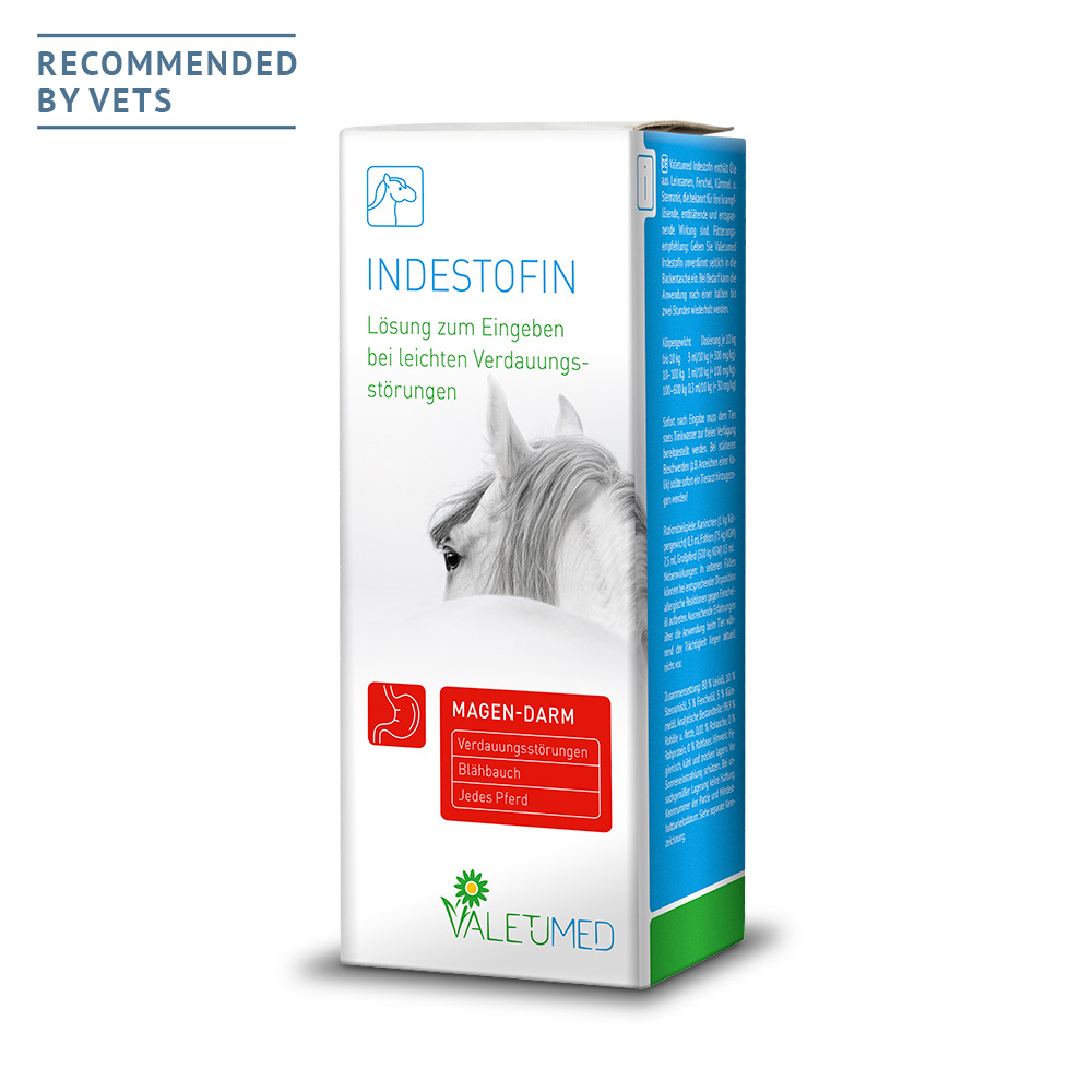 Werbung, Plakat, Tier, Pferd, Säugetier