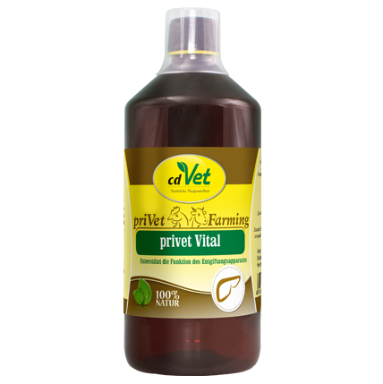 privet Vital ist eine einzigartige Kombination aus Kräutern, Obst- und Gemüseextrakten. Durch die op