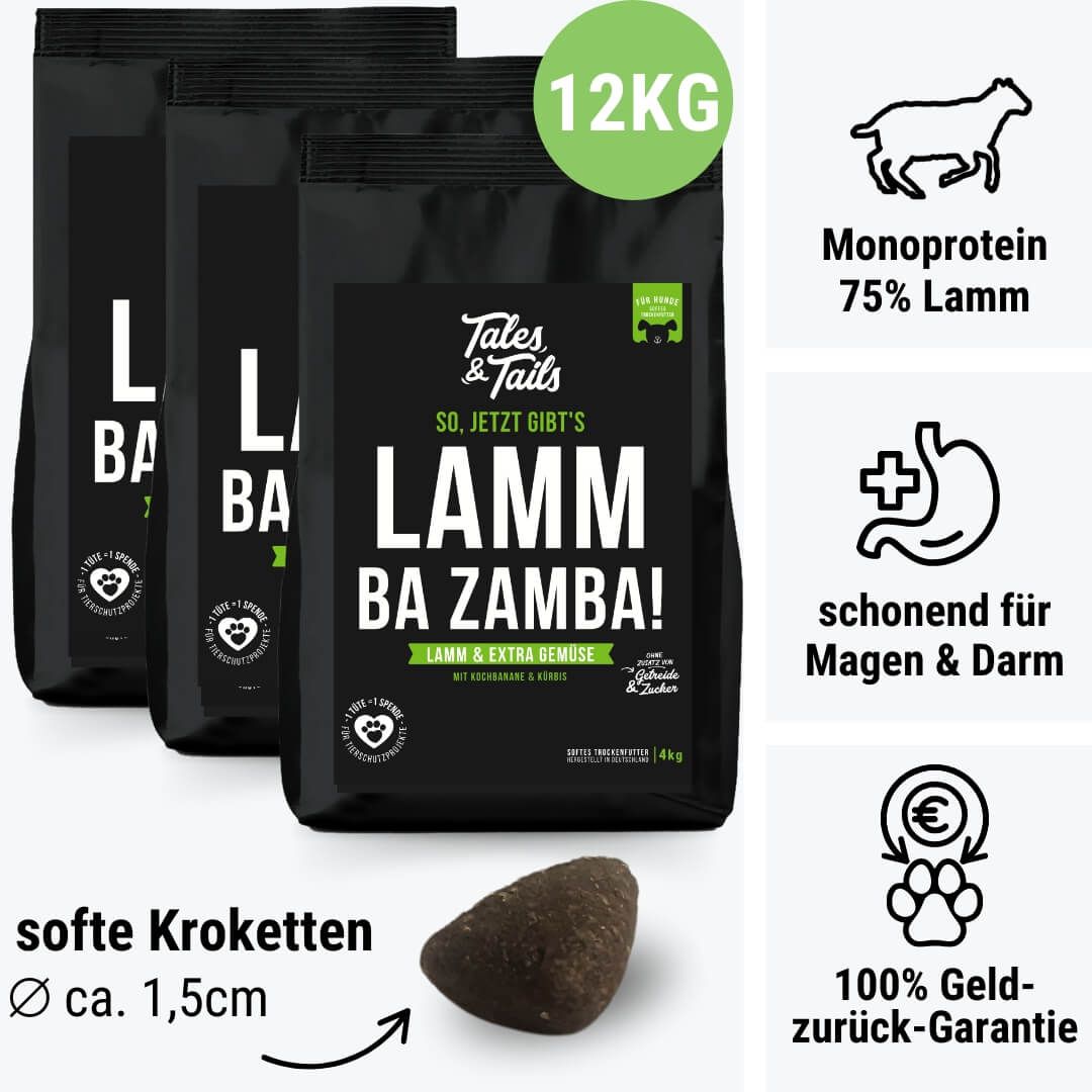 Kieselstein, Anthrazit, Kohle