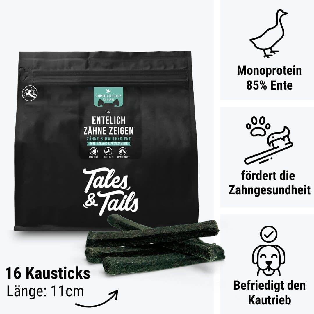 Tasche, Gesicht, Person, Tier, Vogel