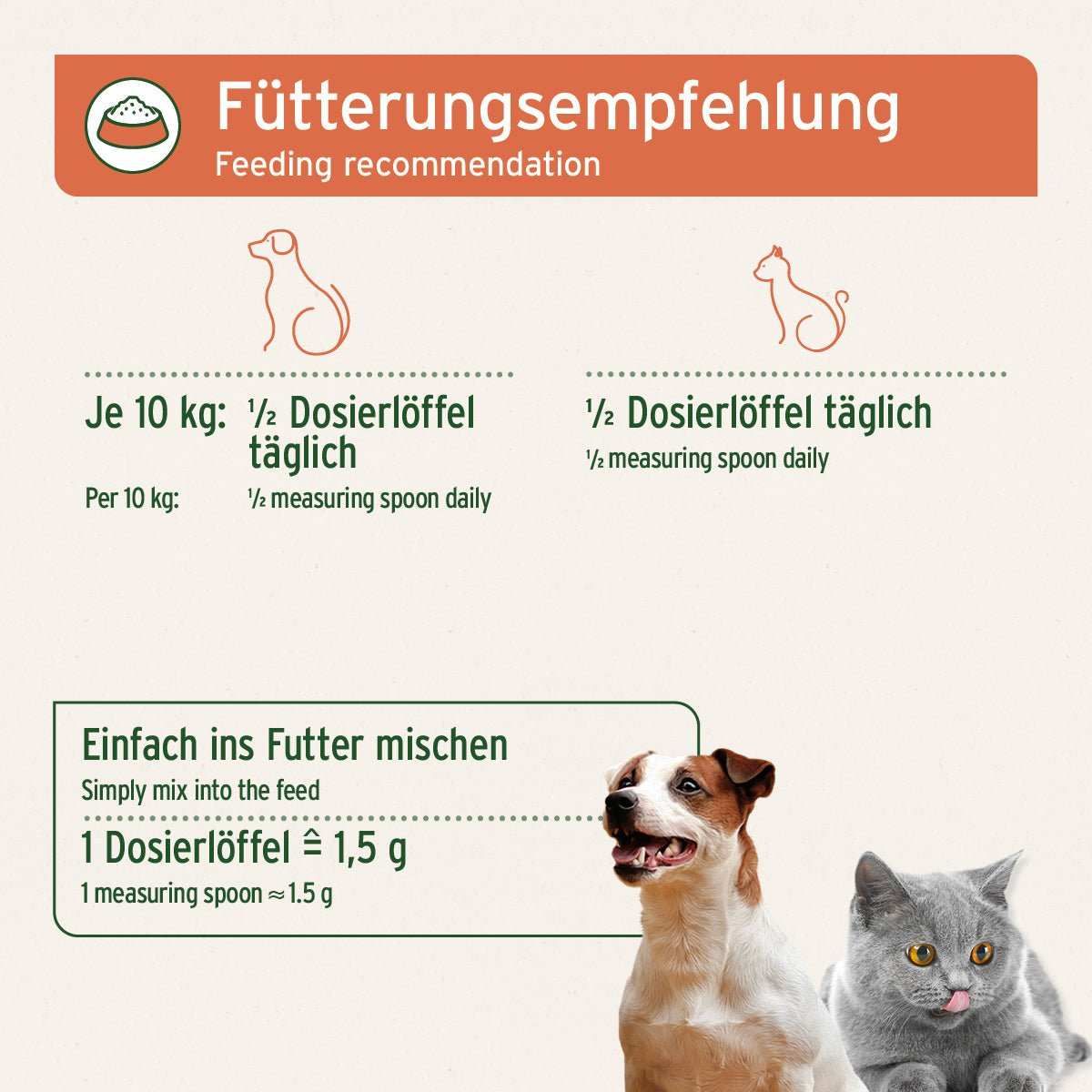 Werbung, Plakat, Hund, Text, Katze