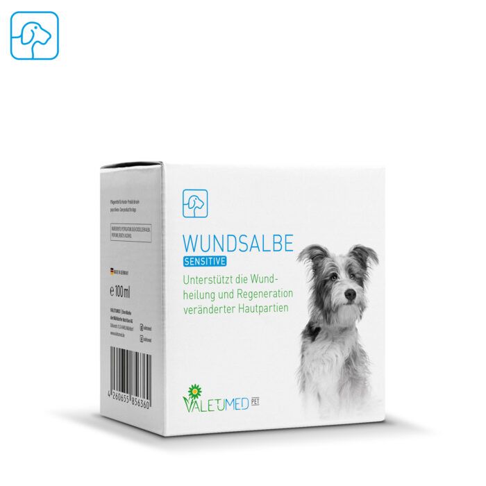 Hund, Säugetier, Haustier, Kiste