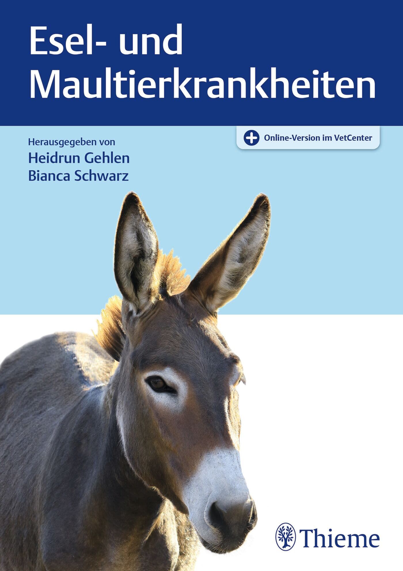 Tier, Esel, Säugetier, Antilope, Wildtiere