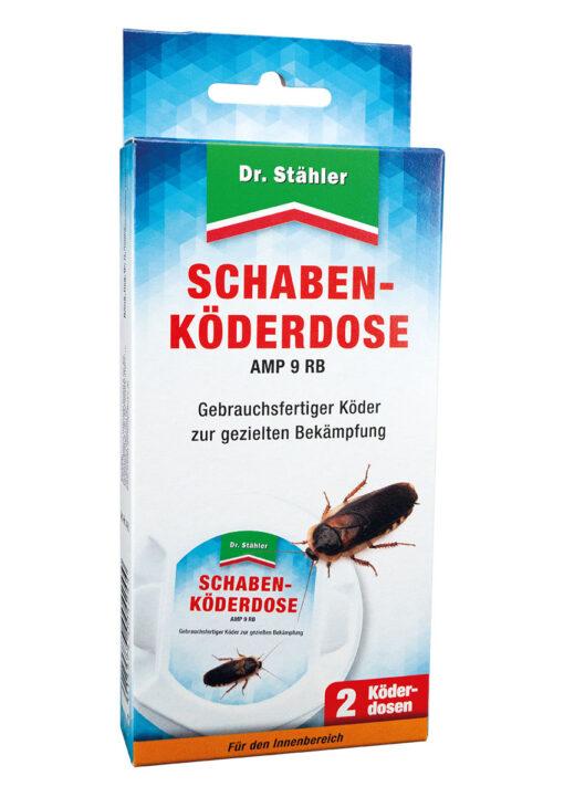 Tier, Insekt, Wirbellose