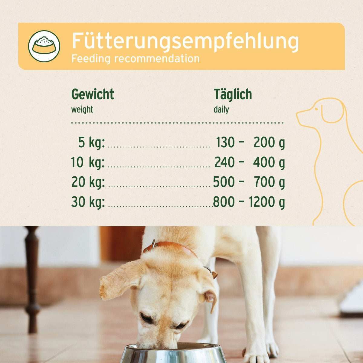 Text, Hund, Säugetier, Haustier