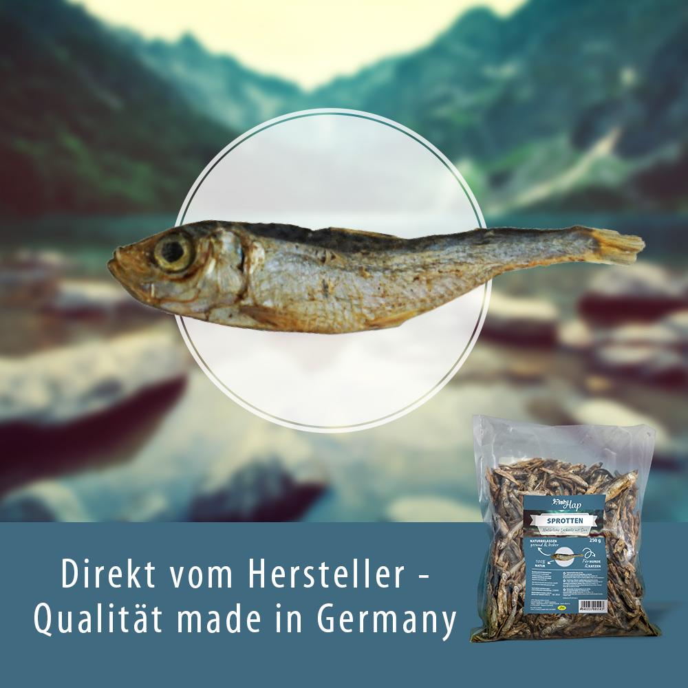 Tier, Fische, Hering, Leben im Meer, Sardine